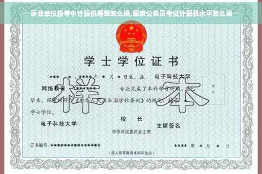 事业单位报考中计算机等级怎么填,国家公务员考试计算机水平怎么填