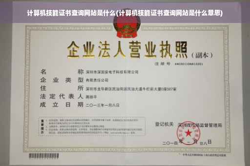 计算机技能证书查询网站是什么(计算机技能证书查询网站是什么意思)