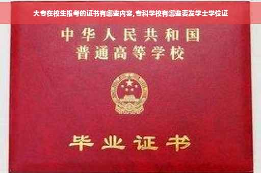 大专在校生报考的证书有哪些内容,专科学校有哪些要发学士学位证
