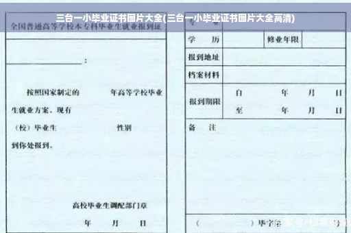 三台一小毕业证书图片大全(三台一小毕业证书图片大全高清)
