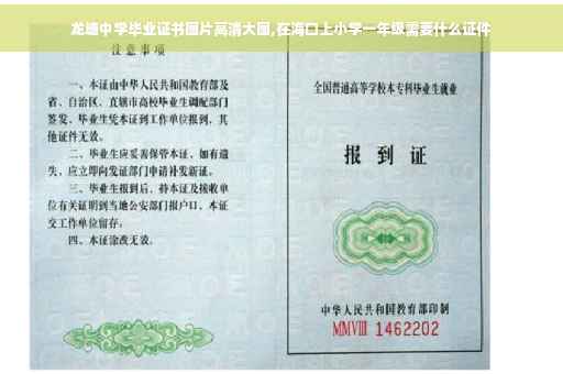 龙塘中学毕业证书图片高清大图,在海口上小学一年级需要什么证件