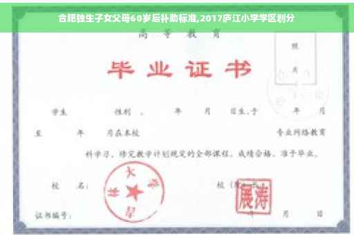 合肥独生子女父母60岁后补助标准,2017庐江小学学区划分