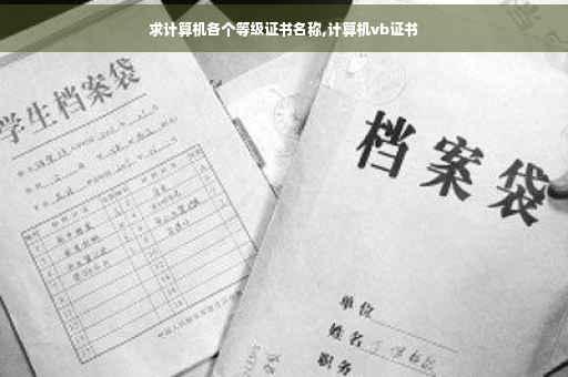 求计算机各个等级证书名称,计算机vb证书
