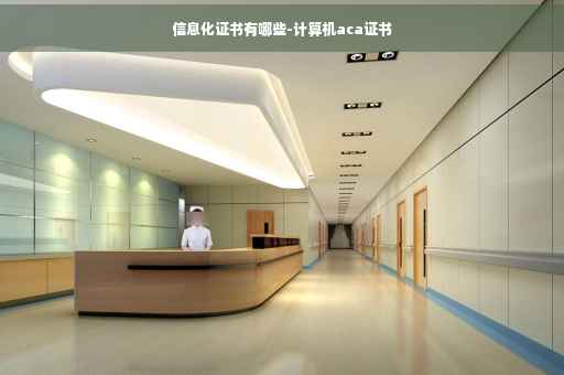信息化证书有哪些-计算机aca证书