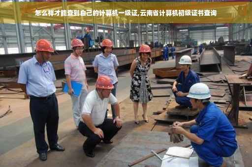 怎么样才能查到自己的计算机一级证,云南省计算机初级证书查询