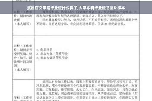 武昌首义学院毕业证什么样子,大学本科毕业证书图片样本