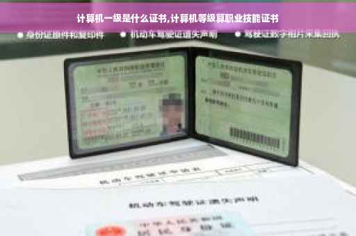 计算机一级是什么证书,计算机等级算职业技能证书