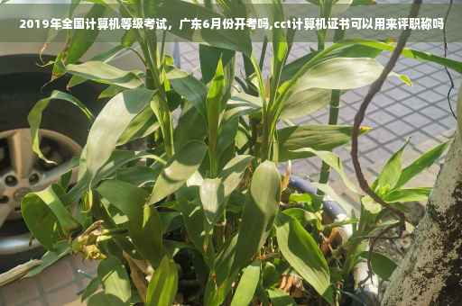 2019年全国计算机等级考试，广东6月份开考吗,cct计算机证书可以用来评职称吗