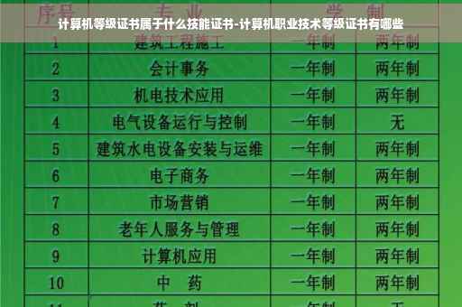 计算机等级证书属于什么技能证书-计算机职业技术等级证书有哪些