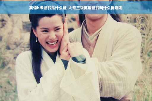 英语b级证书是什么证-大专三级英语证书叫什么用途呢