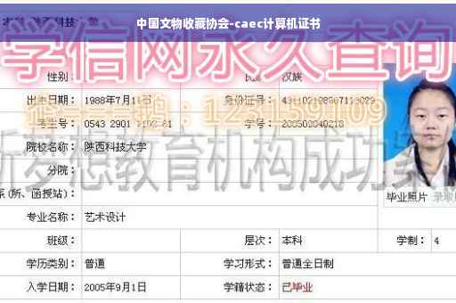 中国文物收藏协会-caec计算机证书