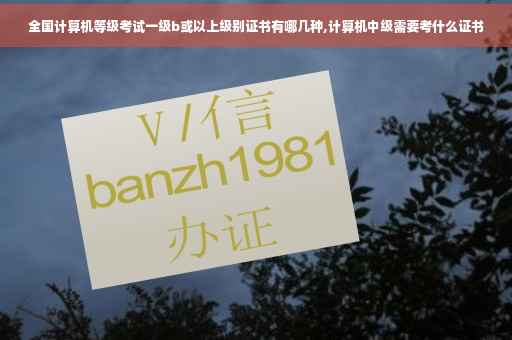 全国计算机等级考试一级b或以上级别证书有哪几种,计算机中级需要考什么证书