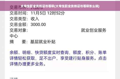 大专生职业资格证书等级(大专生职业资格证书等级怎么填)