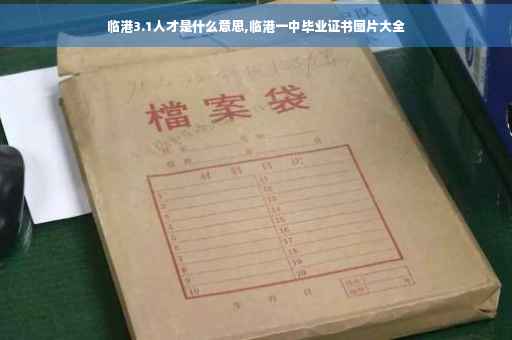 临港3.1人才是什么意思,临港一中毕业证书图片大全