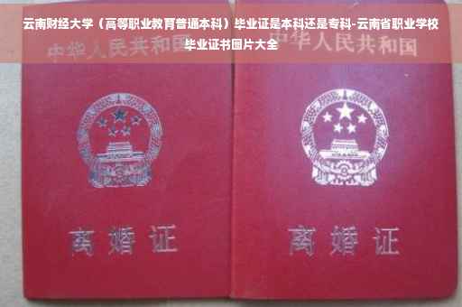 云南财经大学（高等职业教育普通本科）毕业证是本科还是专科-云南省职业学校毕业证书图片大全