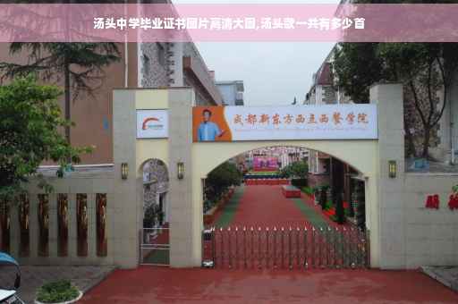 汤头中学毕业证书图片高清大图,汤头歌一共有多少首