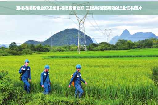 军校指挥系专业好还是非指挥系专业好,工程兵指挥院校的毕业证书图片