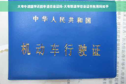 大专中途辍学还能申请毕业证吗-大专想退学毕业证书有用吗知乎