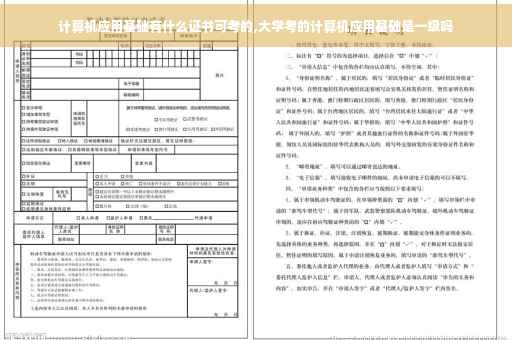 计算机应用基础有什么证书可考的,大学考的计算机应用基础是一级吗