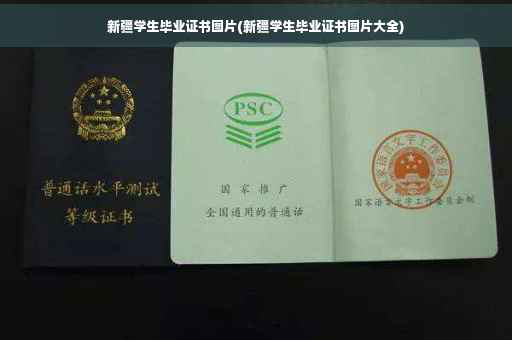 新疆学生毕业证书图片(新疆学生毕业证书图片大全)
