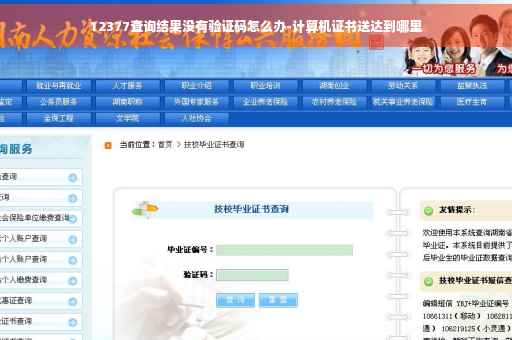 12377查询结果没有验证码怎么办-计算机证书送达到哪里