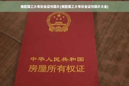 南阳理工大专毕业证书图片(南阳理工大专毕业证书图片大全)