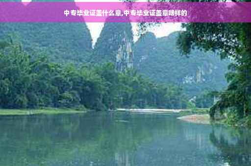 中专毕业证盖什么章,中专毕业证盖章啥样的