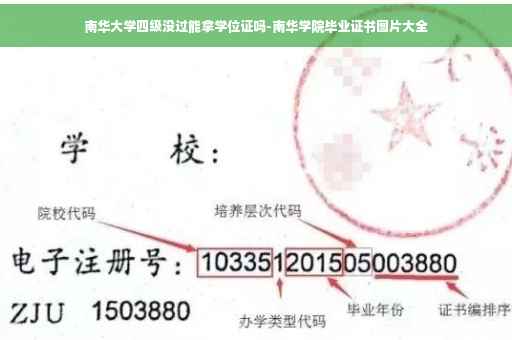 南华大学四级没过能拿学位证吗-南华学院毕业证书图片大全