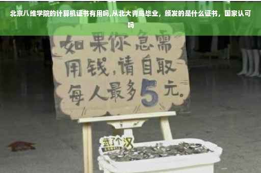 北京八维学院的计算机证书有用吗,从北大青鸟毕业，颁发的是什么证书，国家认可吗