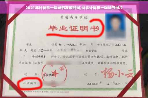 2021年计算机一级证书发放时间,河北计算机一级证书图片