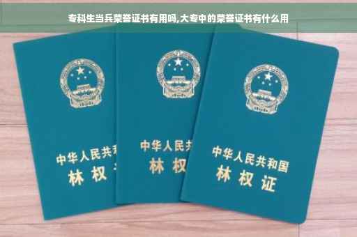 专科生当兵荣誉证书有用吗,大专中的荣誉证书有什么用