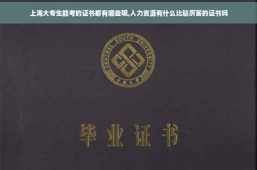 上海大专生能考的证书都有哪些呢,人力资源有什么比较厉害的证书吗