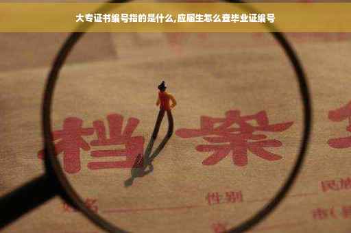 大专证书编号指的是什么,应届生怎么查毕业证编号