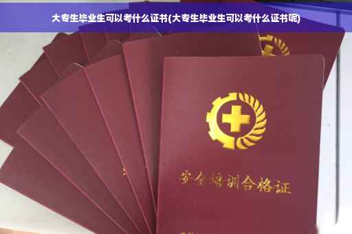 大专生毕业生可以考什么证书(大专生毕业生可以考什么证书呢)