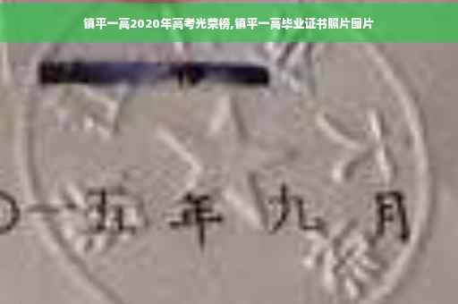 镇平一高2020年高考光荣榜,镇平一高毕业证书照片图片