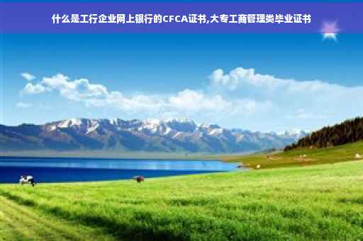 什么是工行企业网上银行的CFCA证书,大专工商管理类毕业证书