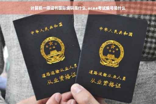 计算机一级证书国际编码是什么,acaa考试编号是什么