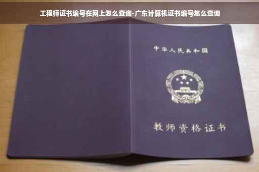 工程师证书编号在网上怎么查询-广东计算机证书编号怎么查询