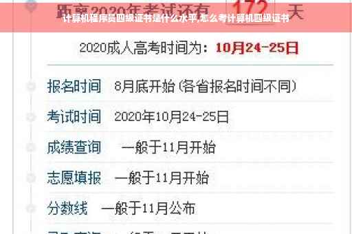 计算机程序员四级证书是什么水平,怎么考计算机四级证书