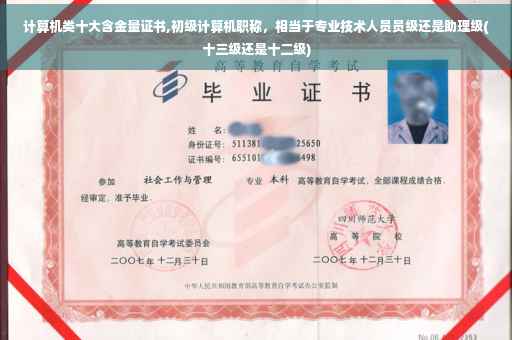 计算机类十大含金量证书,初级计算机职称，相当于专业技术人员员级还是助理级(十三级还是十二级)
