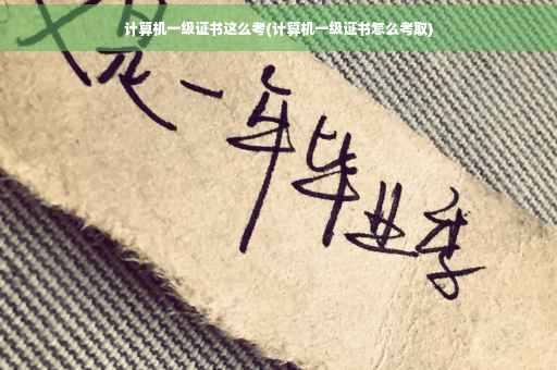 计算机一级证书这么考(计算机一级证书怎么考取)