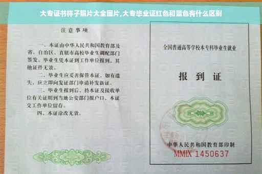 大专证书样子照片大全图片,大专毕业证红色和蓝色有什么区别