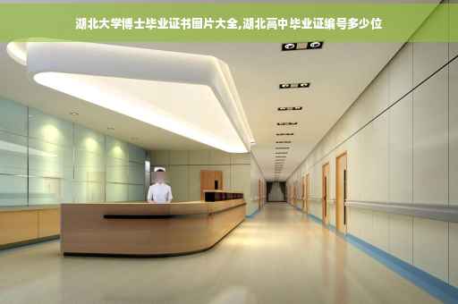 湖北大学博士毕业证书图片大全,湖北高中毕业证编号多少位