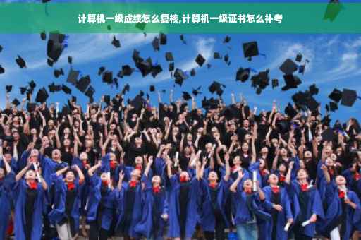 计算机一级成绩怎么复核,计算机一级证书怎么补考