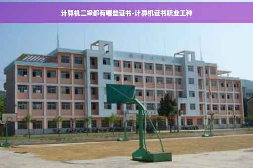 计算机二级都有哪些证书-计算机证书职业工种