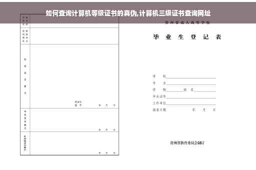 如何查询计算机等级证书的真伪,计算机三级证书查询网址