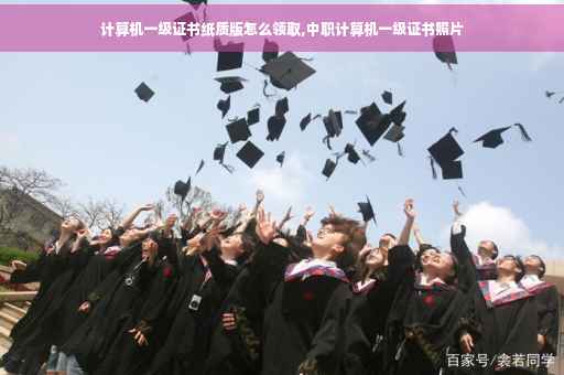 计算机一级证书纸质版怎么领取,中职计算机一级证书照片