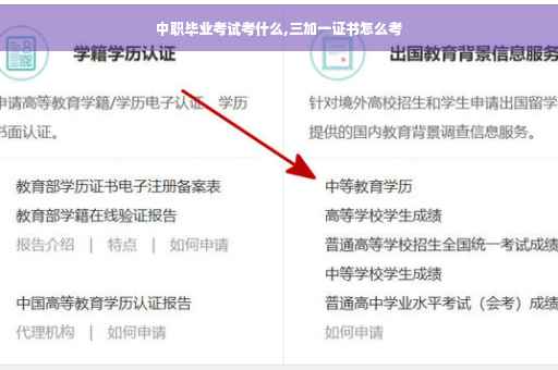 中职毕业考试考什么,三加一证书怎么考