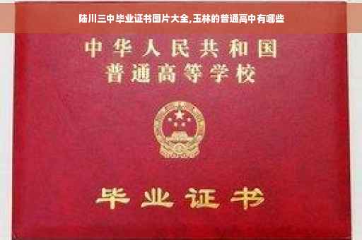 陆川三中毕业证书图片大全,玉林的普通高中有哪些