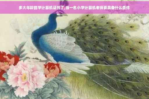 多大年龄能学计算机证书了,当一名小学计算机老师要具备什么条件